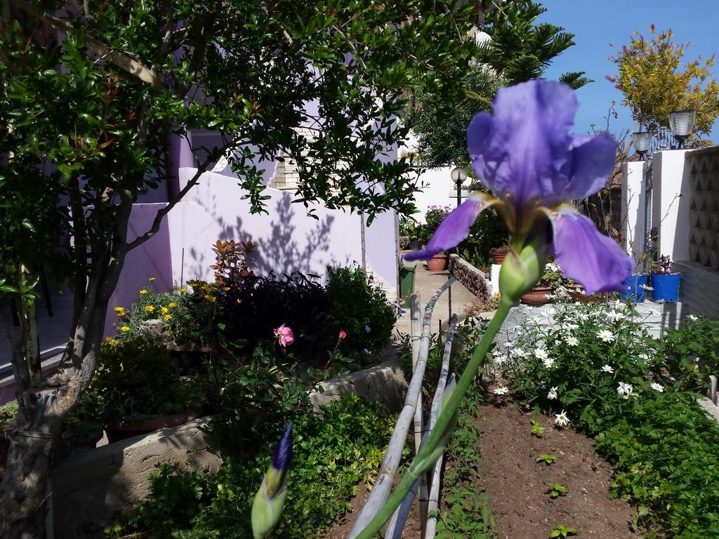 Casa Purple Cala Gonone Exterior foto